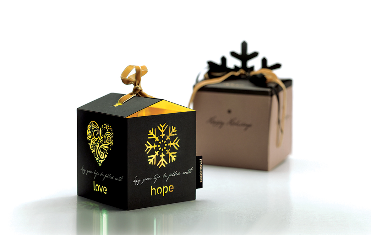 Digma eidikon silogon